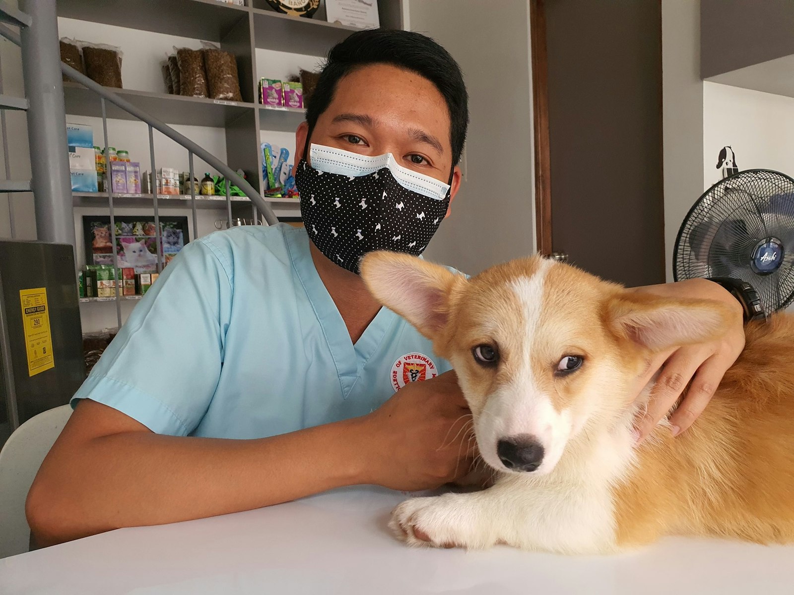 Vétérinaire en consultation avec un chien