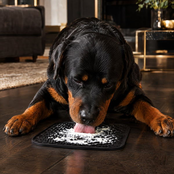 Rottweiler allongé qui savoure un tapis de léchage au yaourt nature – Gros Chien