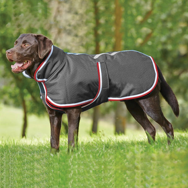 Manteau En Polaire Pour Lévrier Taille M - Bleu Foncé - Confortable, Chaud, Col Montant - Pour Lévriers, Whippets, Lévriers Italiens - 7
