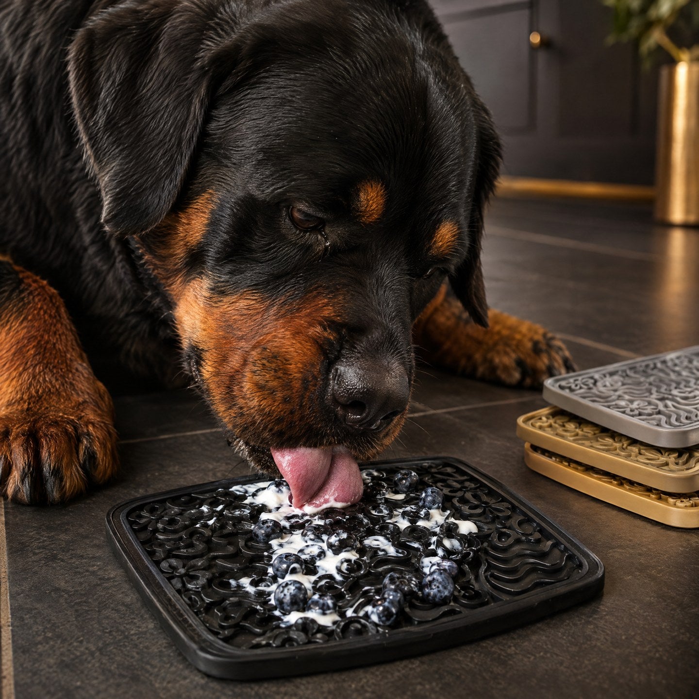 Tapis de léchage pour chien