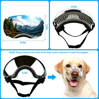 Lunette de protection pour chien