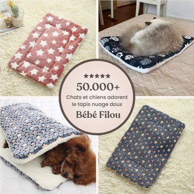 https://cdn.shopify.com/s/files/1/0489/2898/1148/files/10_29db1f9a-18c0-40ca-a9b9-ce97aea5428d.jpg?v=1771932736