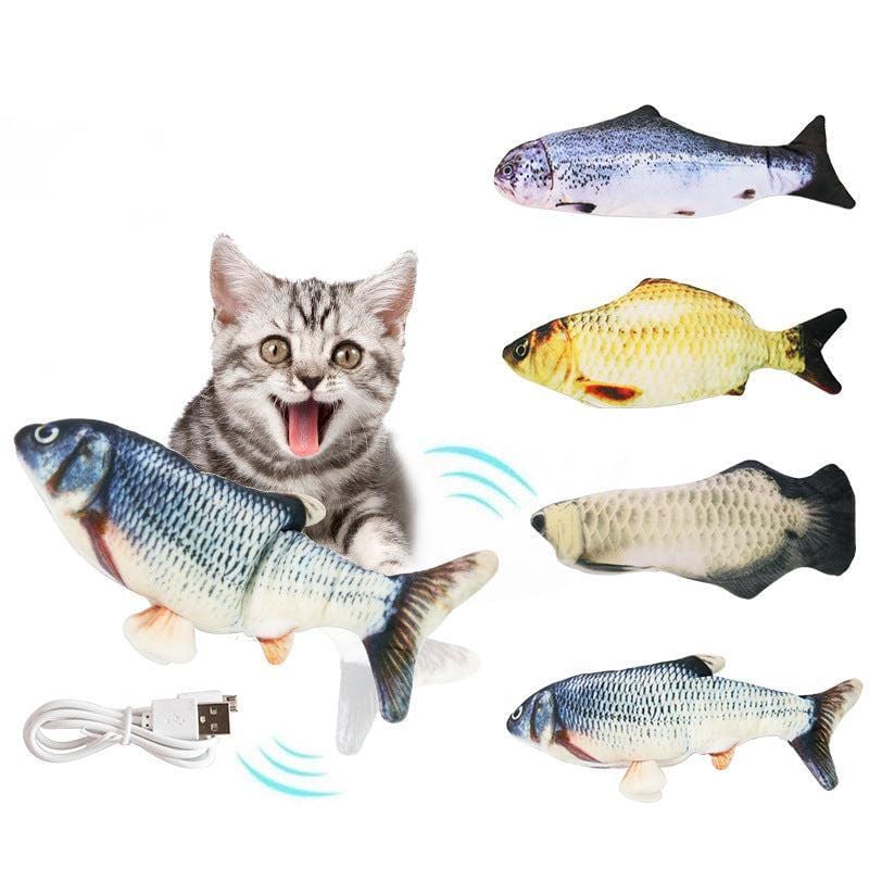 https://cdn.shopify.com/s/files/1/0489/2898/1148/files/13085947368_1844951790_cae6498e-206e-4ec0-aef6-c31ba27beefb.jpg?v=1744538168