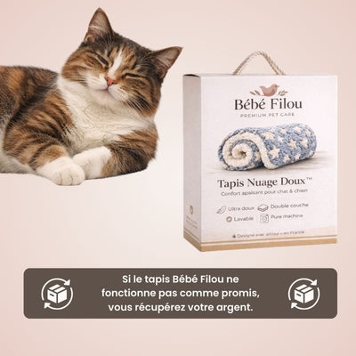 https://cdn.shopify.com/s/files/1/0489/2898/1148/files/14_c2331bc6-36c9-44d8-94a3-70a032b309cc.jpg?v=1771932853