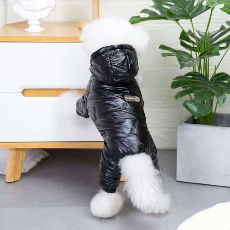 https://cdn.shopify.com/s/files/1/0489/2898/1148/files/1684203121308-2be5dc07dead401b96da43a7a336d3c3-goods.jpg?v=1755344600