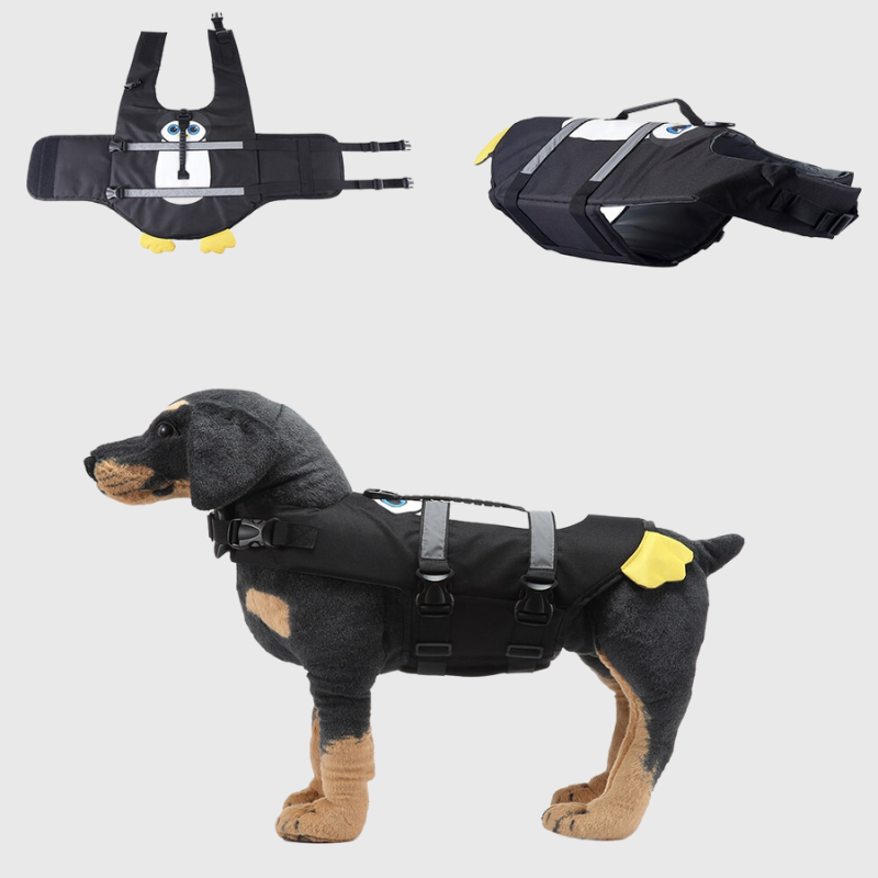 https://cdn.shopify.com/s/files/1/0763/9767/4819/files/16Gilet_de_sauvetage_pour_chien_requin_noir_et_jaune.png?v=1755529485