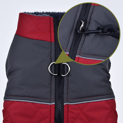 https://cdn.shopify.com/s/files/1/0489/2898/1148/files/170e39e63f486098d909e92bed1cfb36.jpg?v=1755755105