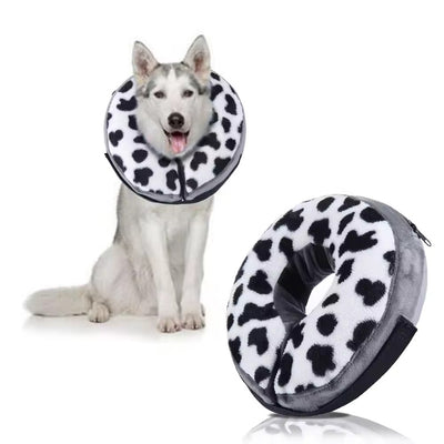 Collier élisabéthain chien gonflable - Gros-Chien.com