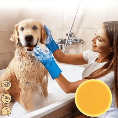 https://cdn.shopify.com/s/files/1/0489/2898/1148/files/1_210d7ea4-1634-4477-bbfe-8fe86d0334e0.png?v=1772633475