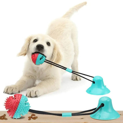 https://cdn.shopify.com/s/files/1/0489/2898/1148/files/1_2_9c13d814-b9d4-4293-9120-6c4909639693.jpg?v=1744538234