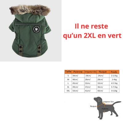 https://cdn.shopify.com/s/files/1/0763/9767/4819/files/1_8a2afa6b-21fa-47fd-b1e4-1a0333dc431b.png?v=1742403318