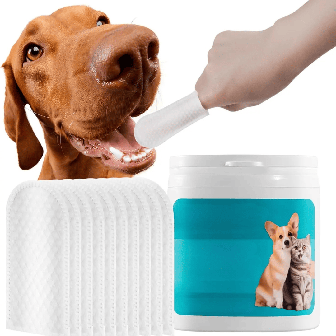 https://cdn.shopify.com/s/files/1/0489/2898/1148/files/1_8d846eed-f887-4dce-9971-1a64c0cf7634.png?v=1773487962