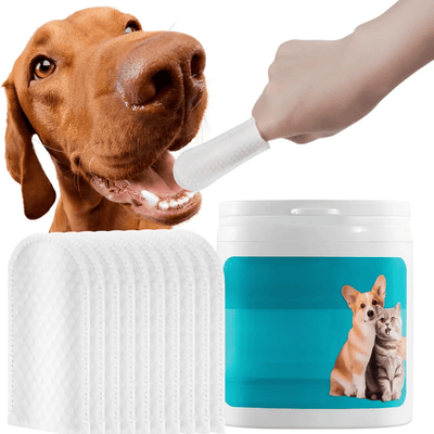 https://cdn.shopify.com/s/files/1/0489/2898/1148/files/1_8d846eed-f887-4dce-9971-1a64c0cf7634.png?v=1773487962