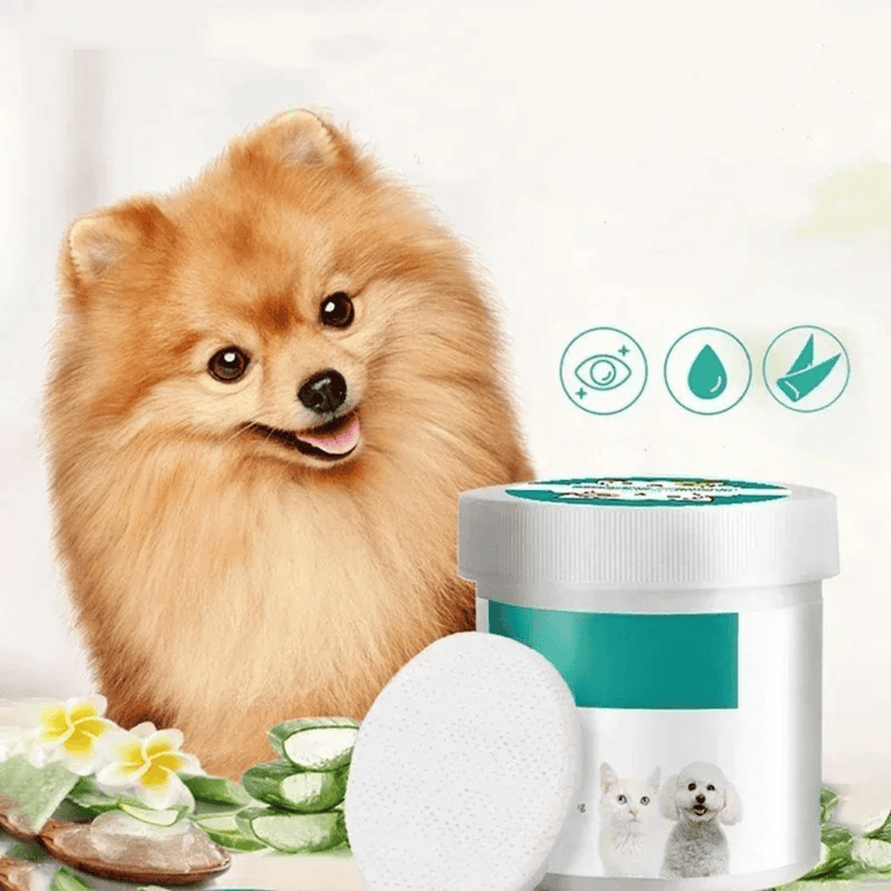https://cdn.shopify.com/s/files/1/0489/2898/1148/files/2_db049bc4-daec-4598-affa-3e4ef43fbd21.png?v=1773307901