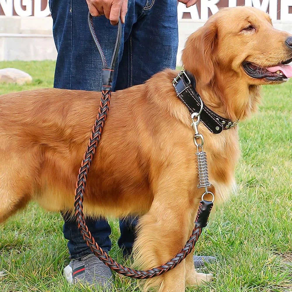 Collier laisse chien cuir tresse