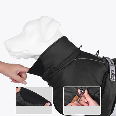 https://cdn.shopify.com/s/files/1/0489/2898/1148/files/28cf3efb-1f7d-4b84-ba1a-b76093bd3a44.jpg?v=1755752280