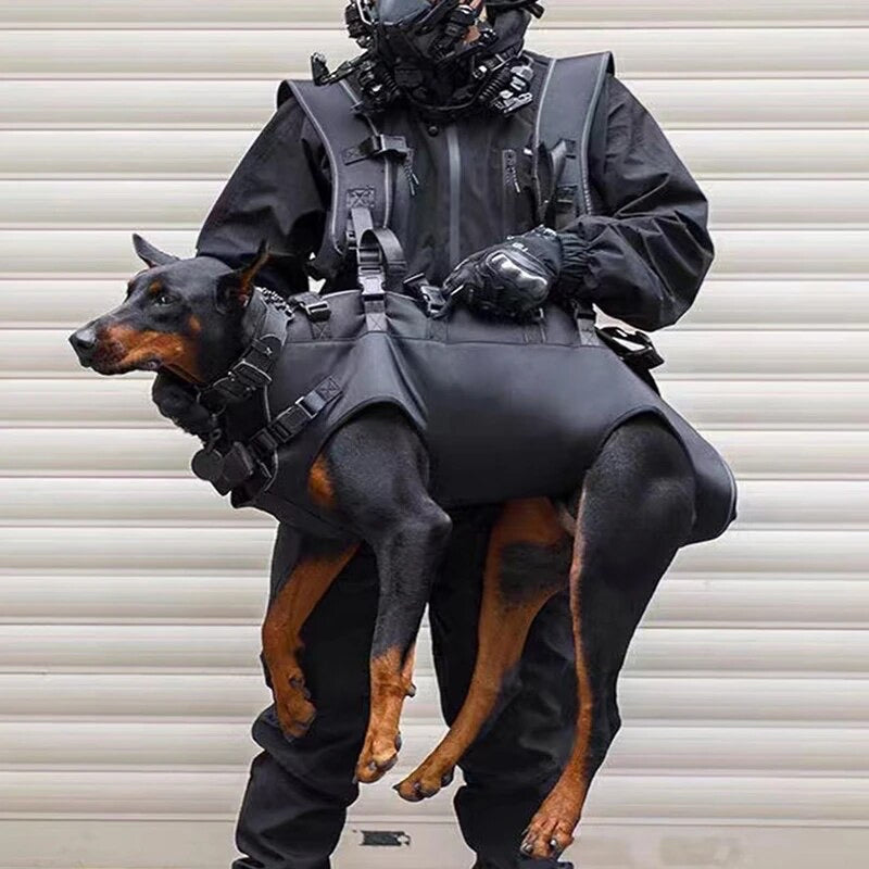 harnais hélitreuillage sac à dos pour porter chien