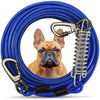 Cable d'attache avec ressort chien