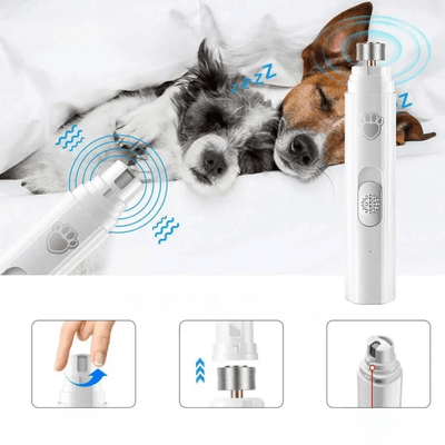 https://cdn.shopify.com/s/files/1/0489/2898/1148/files/2_12334a23-4bcf-4439-8a37-7d574c1e7a87.png?v=1771320761