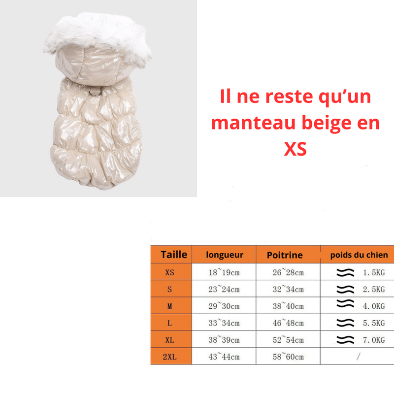 https://cdn.shopify.com/s/files/1/0763/9767/4819/files/1_8a2afa6b-21fa-47fd-b1e4-1a0333dc431b.png?v=1742403318