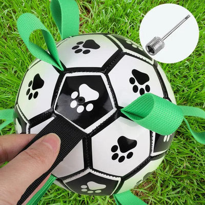 https://cdn.shopify.com/s/files/1/0489/2898/1148/files/2_979f8f3d-e971-45d4-84fd-ec6071842c90.jpg?v=1744538626