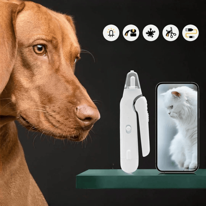https://cdn.shopify.com/s/files/1/0489/2898/1148/files/S76a5af4549cb4326bef8ec219e1b80c3f.webp?v=1769869813