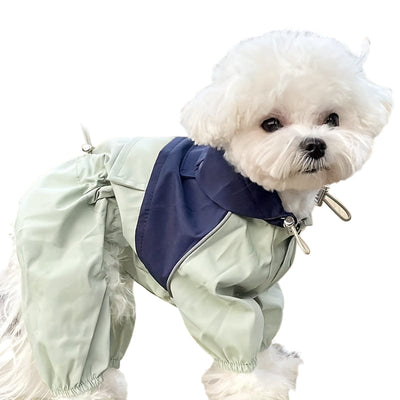 https://cdn.shopify.com/s/files/1/0489/2898/1148/files/2ac4cffc-f002-4df6-9b50-aa02ecbea1af.jpg?v=1756015624