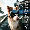 Lunette de protection pour chien