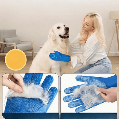 https://cdn.shopify.com/s/files/1/0489/2898/1148/files/3_660364f1-8c0f-4bdb-b737-8f1b07a7be53.png?v=1772633534