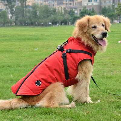 https://cdn.shopify.com/s/files/1/0489/2898/1148/files/3fde7fdd5fd00bf17b78e220276b0e62.jpg?v=1755345041