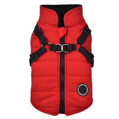 https://cdn.shopify.com/s/files/1/0489/2898/1148/files/4171c2c3-761c-4bbc-ae00-b9dcc5be4d02.jpg?v=1755345083