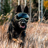 Lunette chien militaire