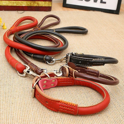 Collier Laisse en Cuir Rond - Gros-Chien.com