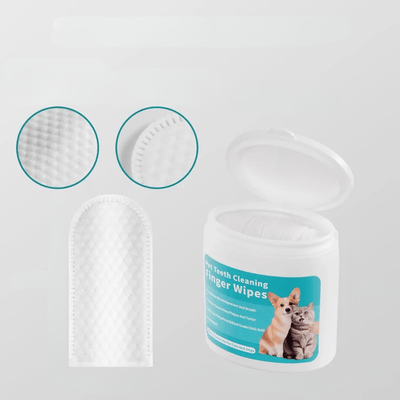 https://cdn.shopify.com/s/files/1/0489/2898/1148/files/4_021e2352-7059-45d0-9404-d4d4c569dcfe.png?v=1773487932