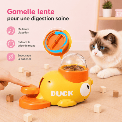 https://cdn.shopify.com/s/files/1/0489/2898/1148/files/4_3ee2305b-b4b0-4c98-810b-faddd357d177.png?v=1776923550