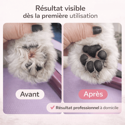 https://cdn.shopify.com/s/files/1/0489/2898/1148/files/4_72754863-8718-4128-b556-0b2cdef67338.png?v=1776505283