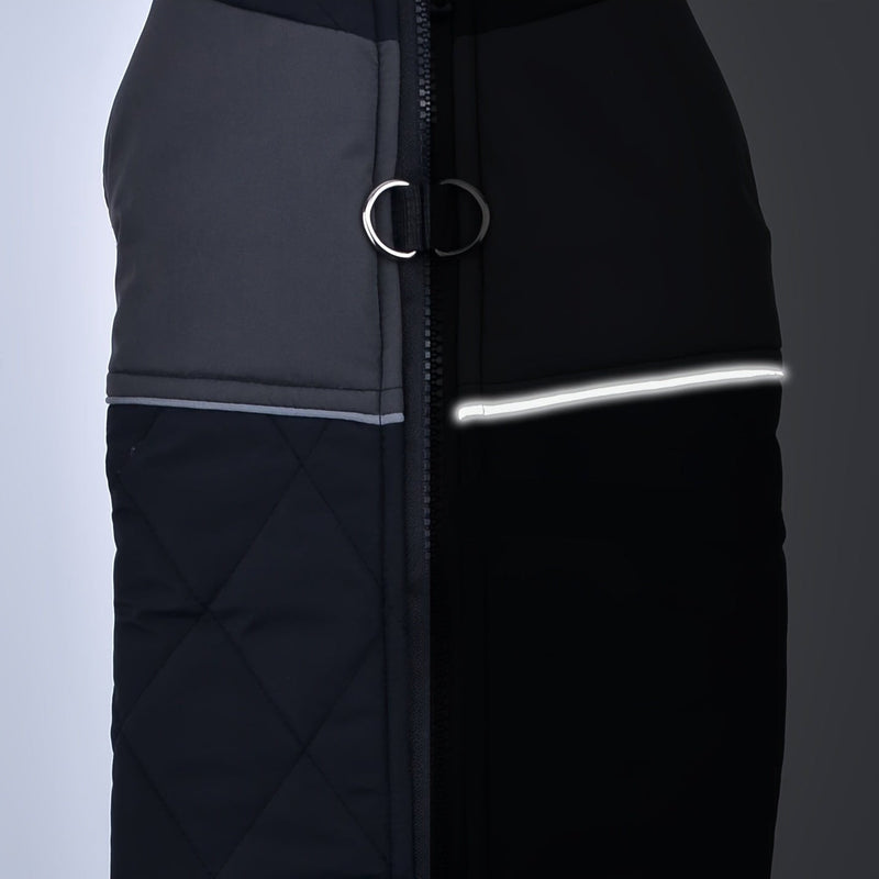 https://cdn.shopify.com/s/files/1/0489/2898/1148/files/9ae5565d1ce68364c9c44679d8e3ae4a_d324e2fc-28ba-4dcb-b04d-4bc4df7c71e0.jpg?v=1755755354