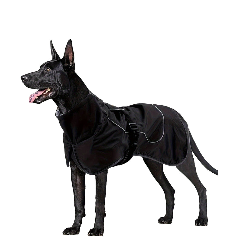 https://cdn.shopify.com/s/files/1/0489/2898/1148/files/f9a76651-740c-4ff1-8c49-b4207b742eb3.jpg?v=1755705245