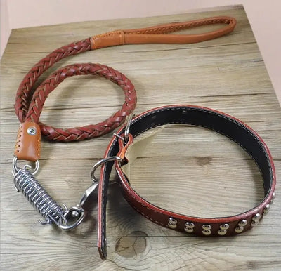 Collier laisse chien cuir tresse