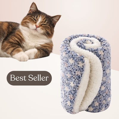 https://cdn.shopify.com/s/files/1/0489/2898/1148/files/5_65d20c9b-ce28-4d0c-abc0-f60f1c18418e.jpg?v=1771839072