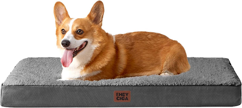 https://cdn.shopify.com/s/files/1/1003/1841/3135/files/61GtI7SW3eL._AC_SL1500.jpg?v=1772398613