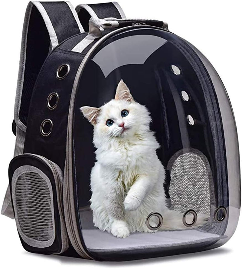 https://cdn.shopify.com/s/files/1/1003/1841/3135/files/61R_XfW8evL._AC_SL1500.jpg?v=1772391116