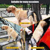 Harnais chien handicape train arriere - Gros-Chien.com