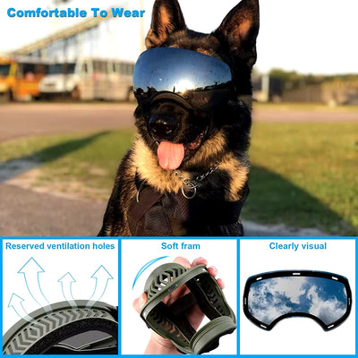 Lunette de protection pour chien