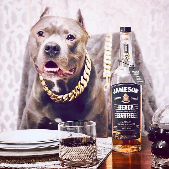 livraison à domicile gros-chien.com