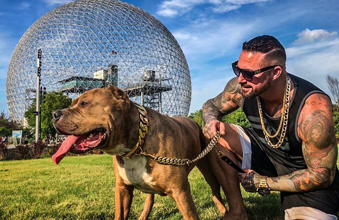 histoire gros-chien.com