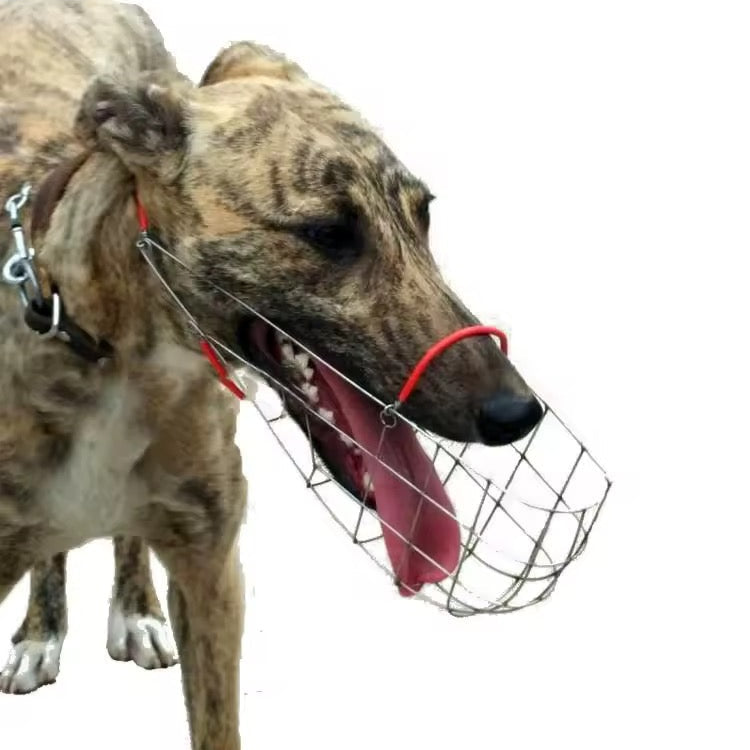 MUSELIÈRE LONG MUSEAU - Gros-Chien.com