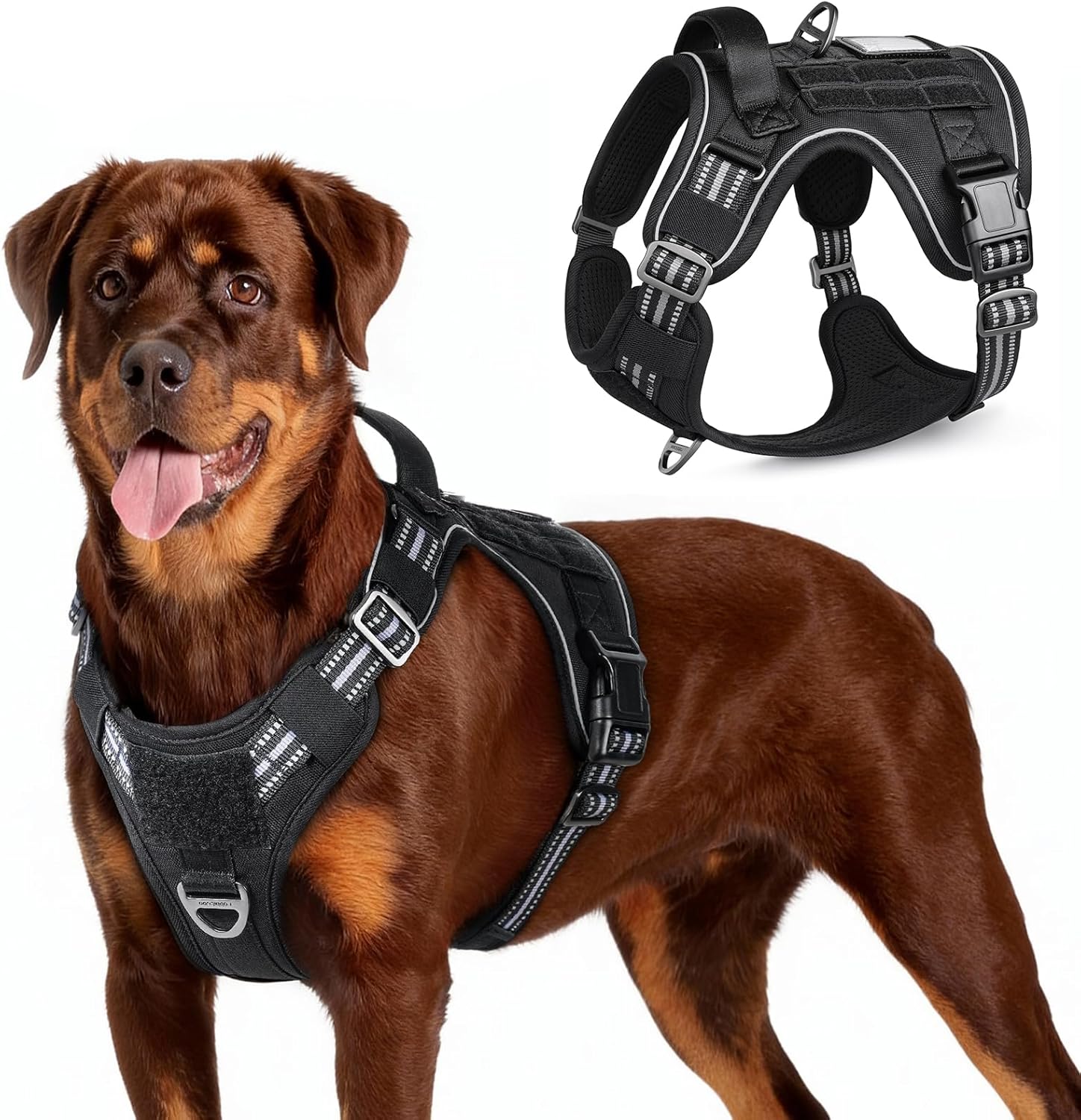 https://cdn.shopify.com/s/files/1/1003/1841/3135/files/71oB1GX3wjL._AC_SL1500.jpg?v=1772398946