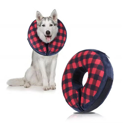 Collier élisabéthain chien gonflable - Gros-Chien.com