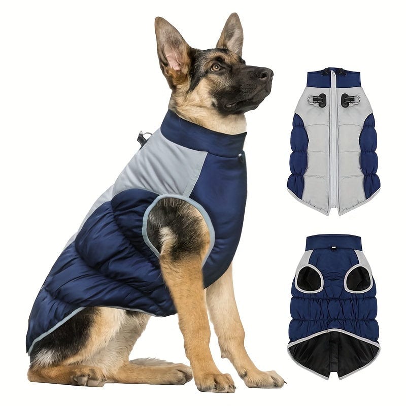 https://cdn.shopify.com/s/files/1/0489/2898/1148/files/7eb5bf81b45563440249d91bae5b9da9.jpg?v=1755344522